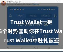 Trust Wallet一键下载安装 5个时势匡助你在Trust Wallet中驻扎被盗