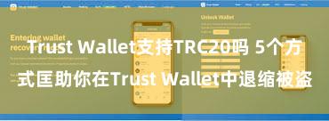 Trust Wallet支持TRC20吗 5个方式匡助你在Trust Wallet中退缩被盗