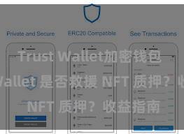 Trust Wallet加密钱包 Trust Wallet 是否救援 NFT 质押？收益指南